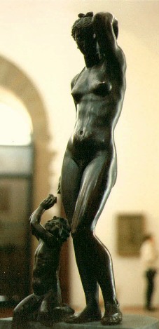 XCellini, Vnus